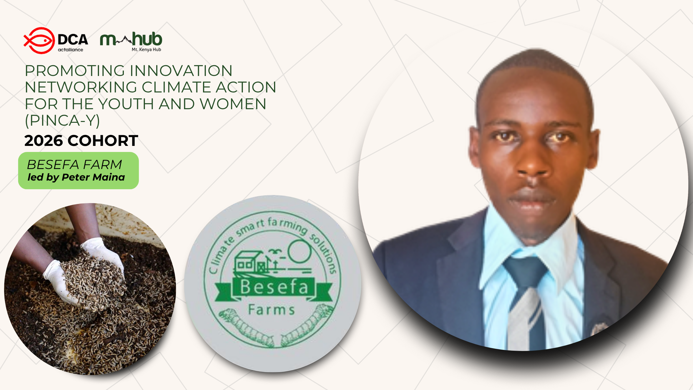 Besefa Farm: Turning Waste into Wealth Through Black Soldier Fly Farming